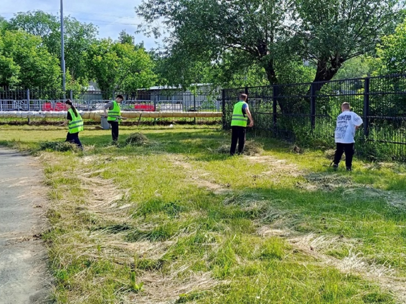 Трудовой отряд &amp;quot;Росток&amp;quot;.